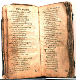 The Bay Psalm Book